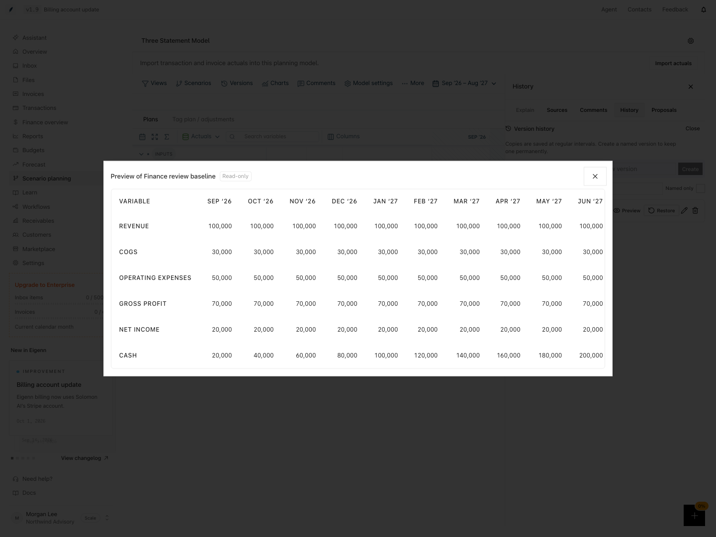 Read-only preview of saved Revenue and Net income values across model periods.